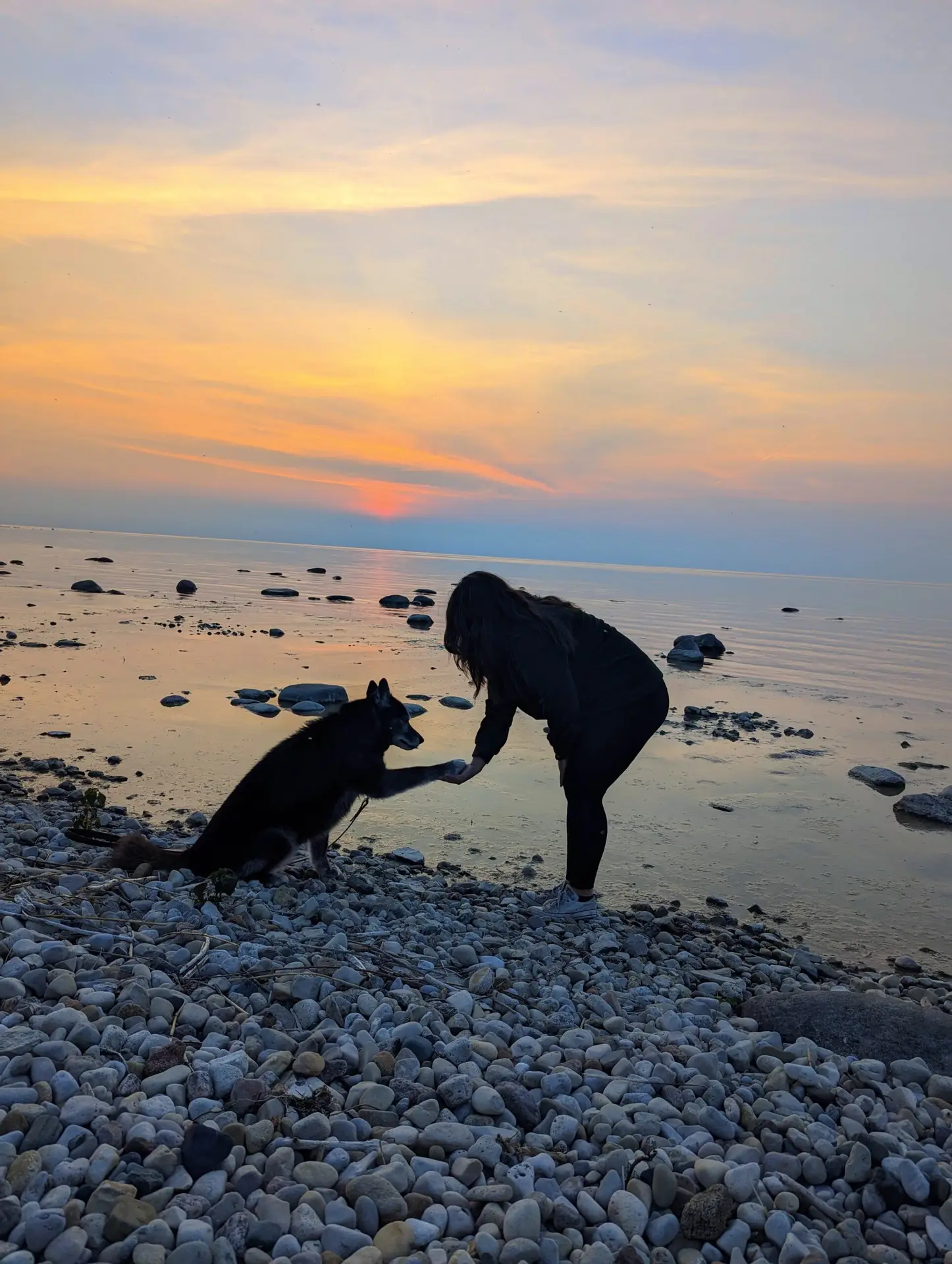 PXL_20230625_010749076.MP~2