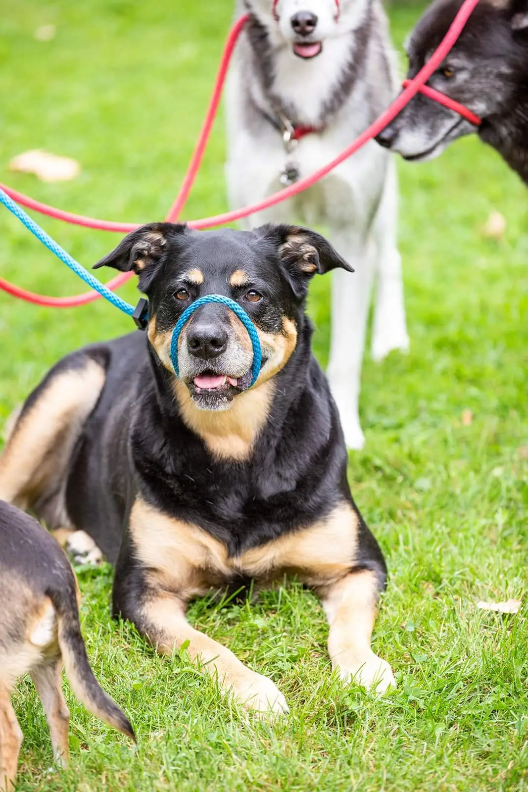 WhatsApp Image 2025-11-29 at 10.14.46 PM-3