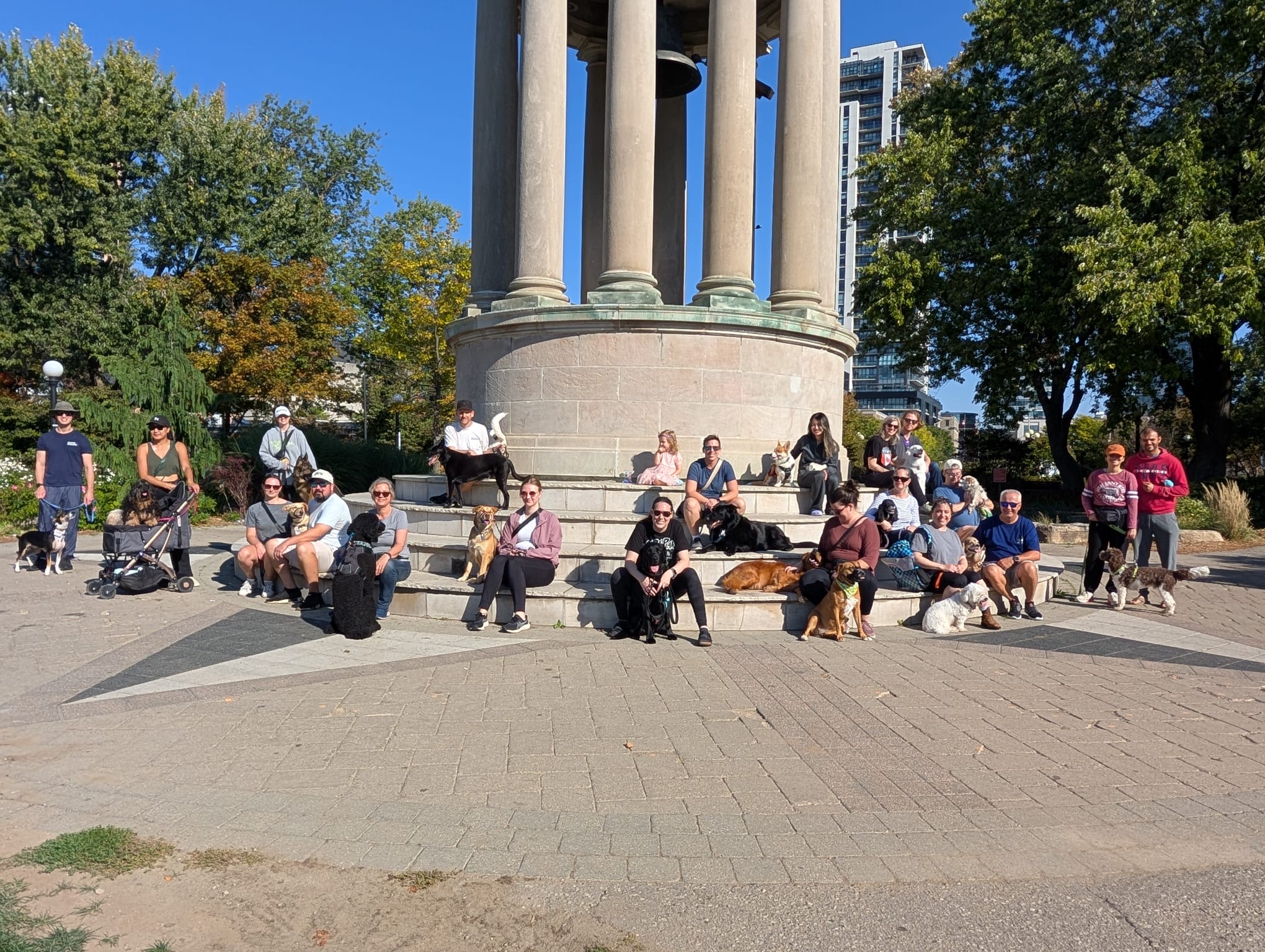 779ef668-eae3-4bb1-b5c7-da8e384a3b37