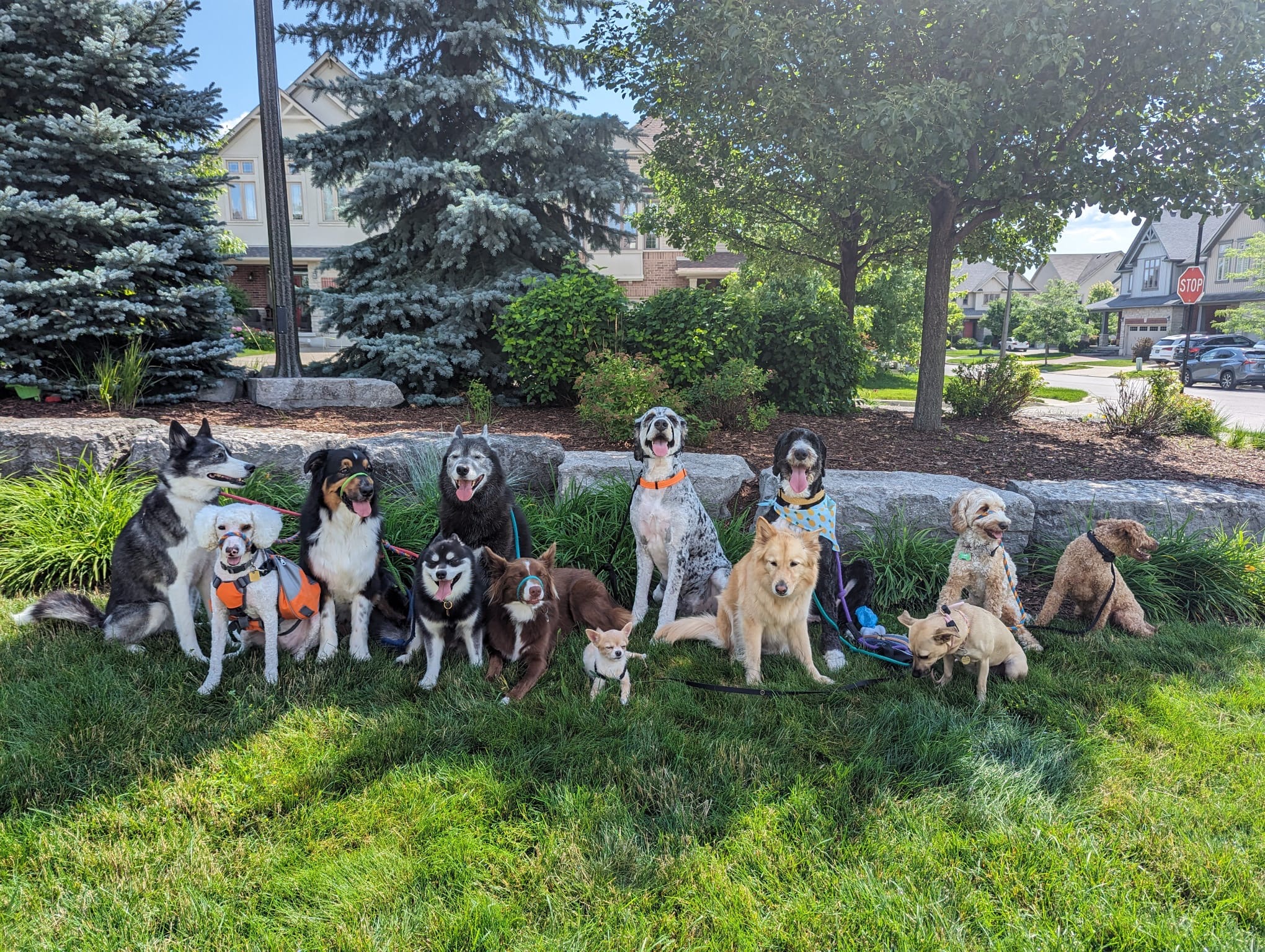 8c2ea62a-0b76-4341-bad4-e2358ef8a225