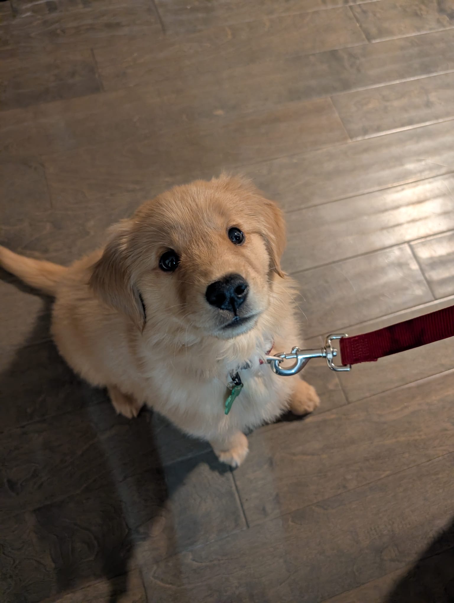 b3fe1432-4762-4812-8f4b-c54df493e2af